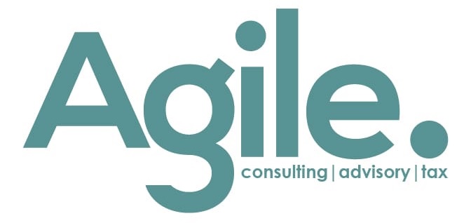 Agile Consulting